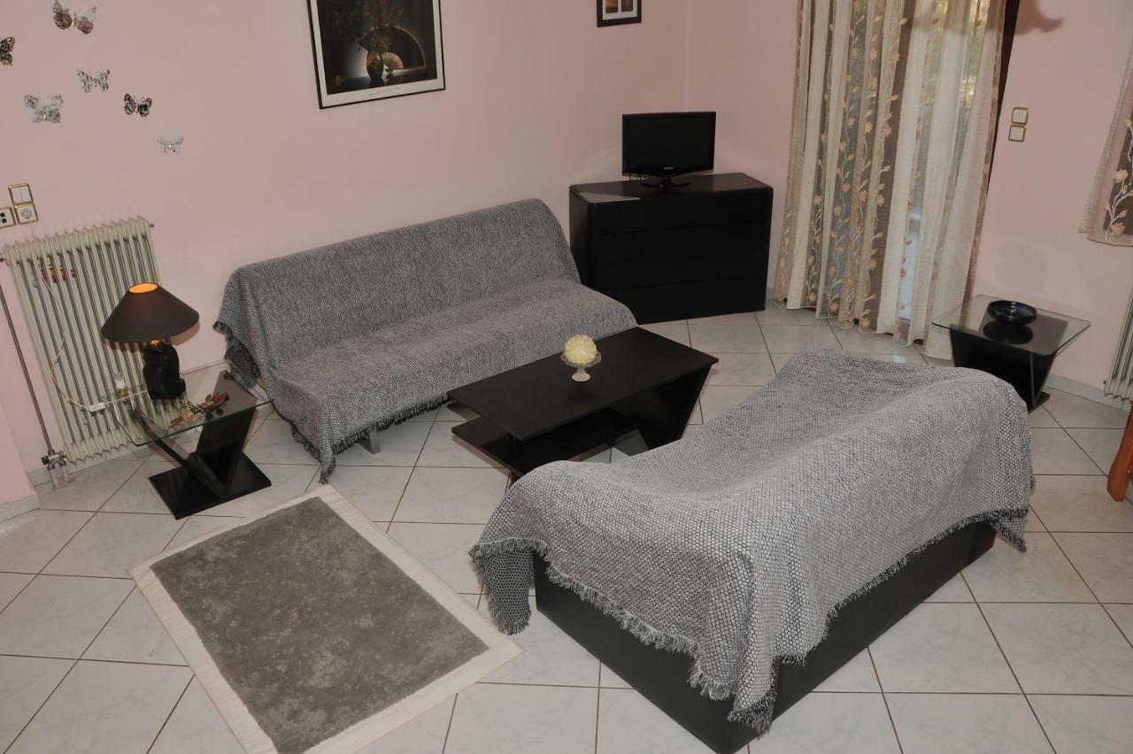 Eagle'S Family Apartment Kalampaka エクステリア 写真